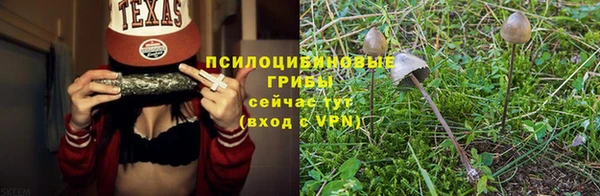 скорость Приозерск