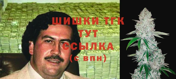 тгк Пролетарск