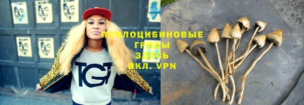 скорость Приозерск