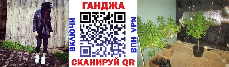 Бошки Шишки планчик  ОМГ ОМГ как войти  Хотьково 
